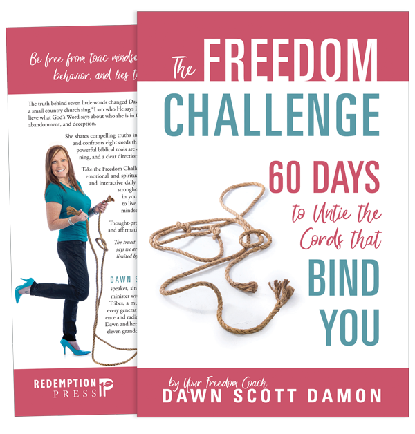 Freedom Challenge by Dawn Scott Damon